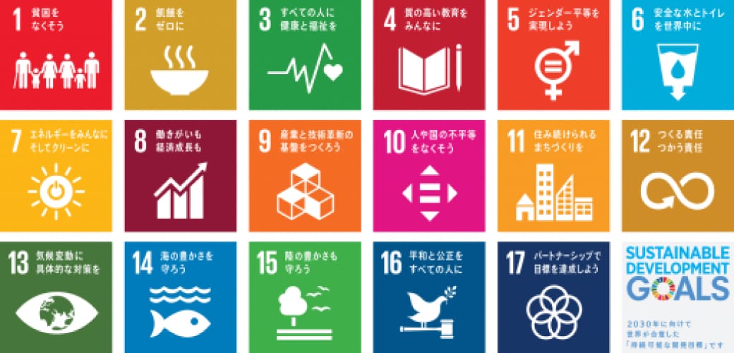 sustainable development goals